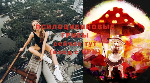 индика Белокуриха