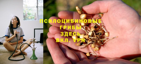 трава Богородицк