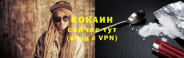 индика Белокуриха